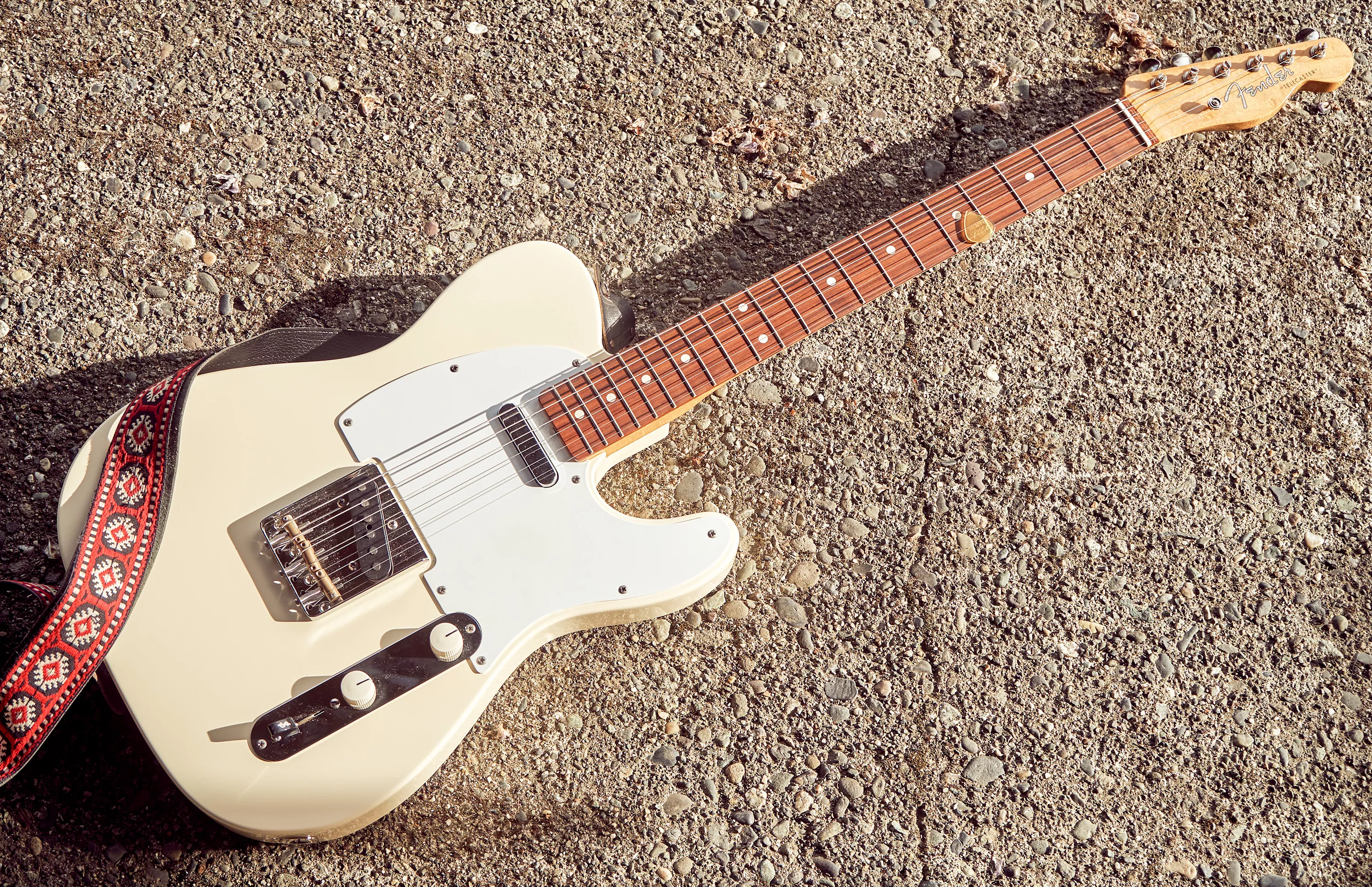 Abgeschlossener Teilecaster 1