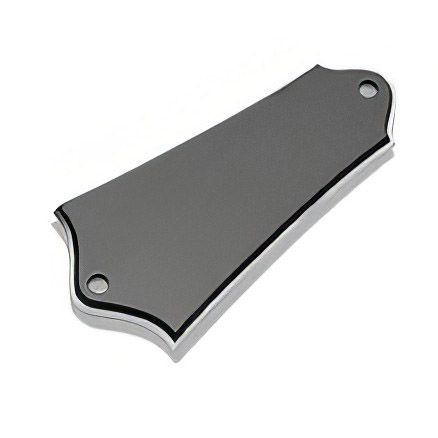 Truss Rod Cover for Banjo or Mandolin