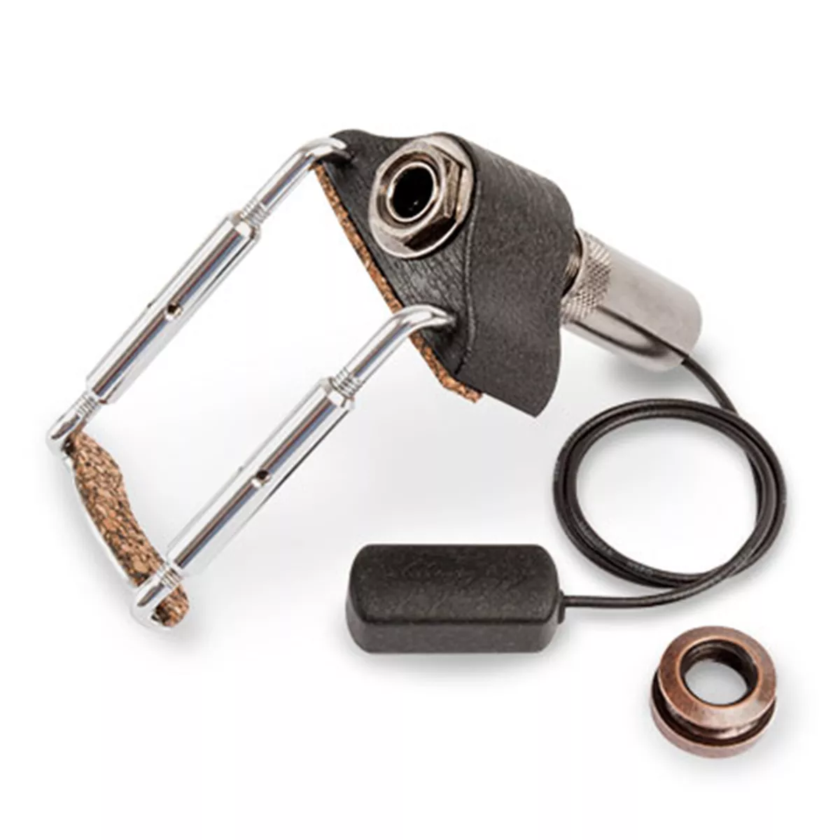 L.R. Baggs Radius Mandolin-Abholung L.R. Baggs Radius Mandolin-Abholung