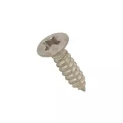 Schlagbrett-Schrauben für Fender, Relic-Nickel