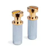 Nieten-/Buchsen-Set für Stop Tailpiece, Gold