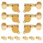 Große Gotoh Schaller-Drehknopf- 3+3 -Tuning-Maschinen, Gold Große Gotoh Schaller-Drehknopf- 3+3 -Tuning-Maschinen, Gold