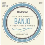 D'Addario Phosphor Bronze Banjo Saiten, leicht (EJ69)