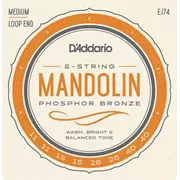 D'Addario Phosphor Bronze MandolineSaiten, mittel (EJ74)