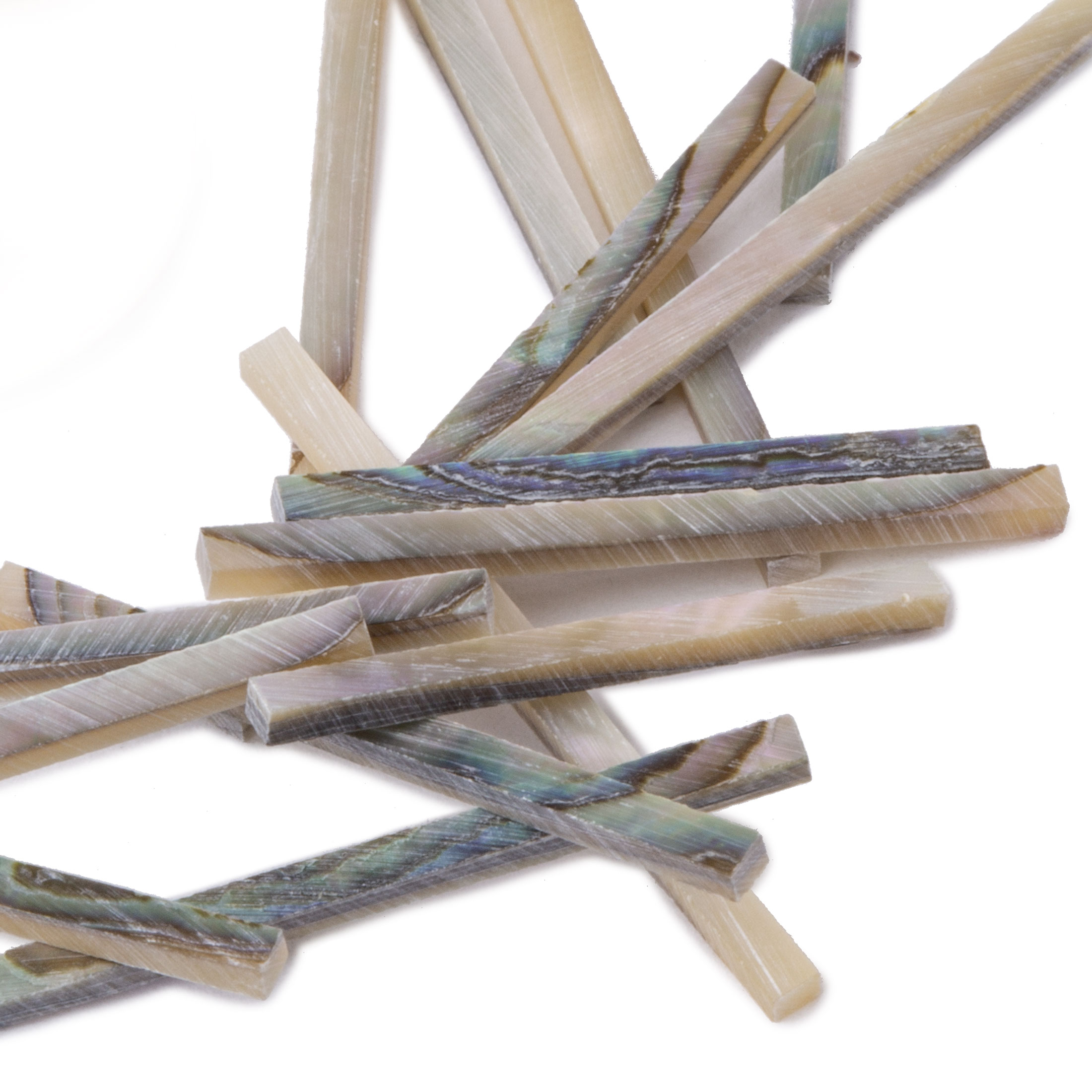 Grüne Abalone-Spülung