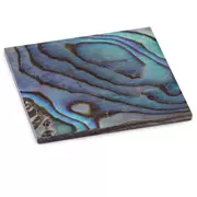 Pearl Griffbretteinlage Blank, Paua abalone, 1