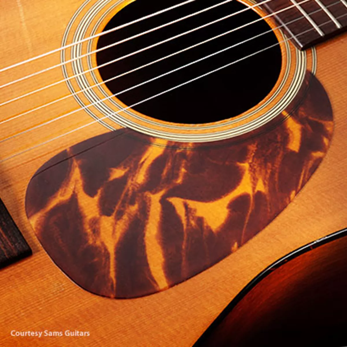 Tortoloid AkustikDreadnought-Pickguard Tortoloid AkustikDreadnought-Pickguard