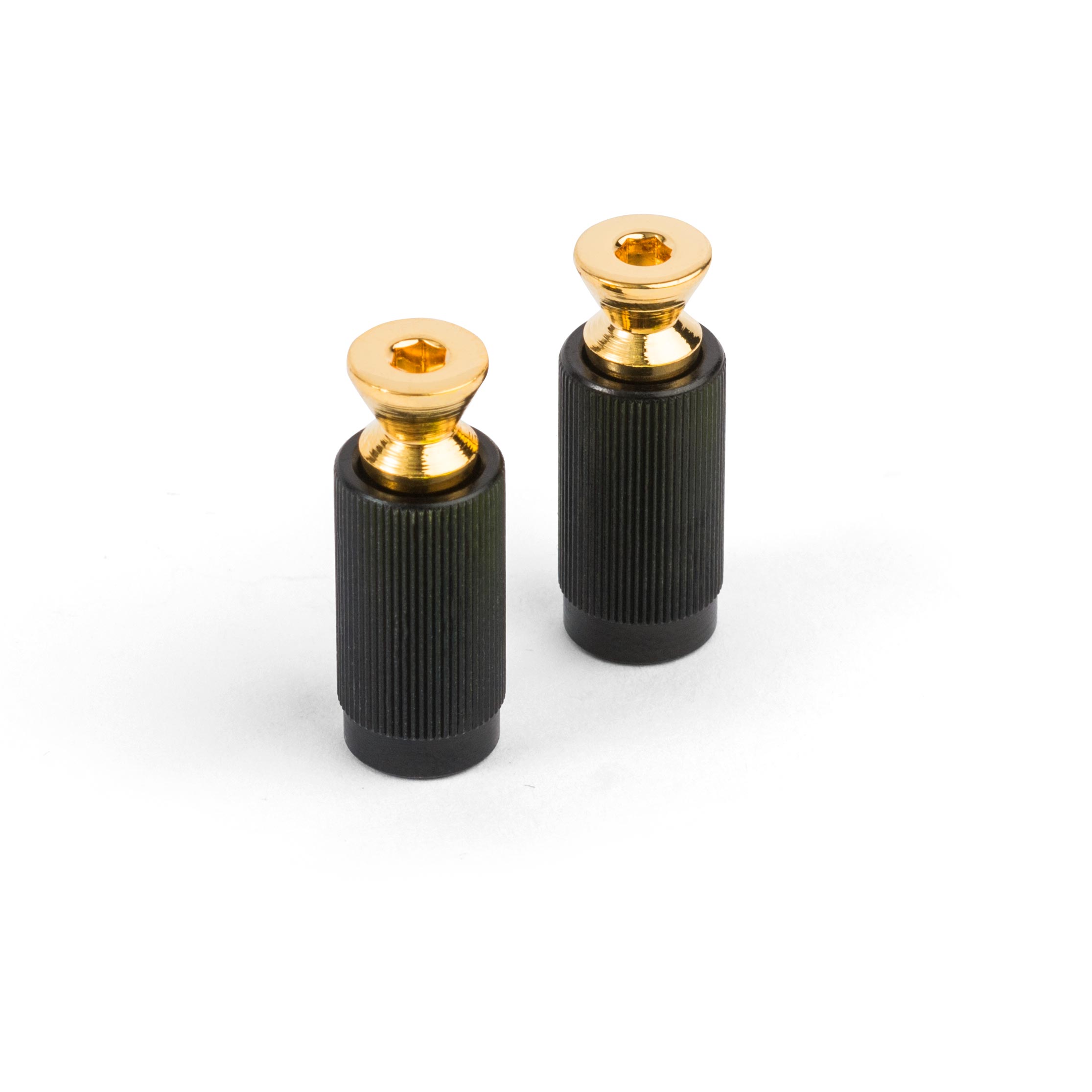 Befestigungsbolzen und Wendeschneidplatten aus Floyd Rose Steg, Gold, 2er-Satz