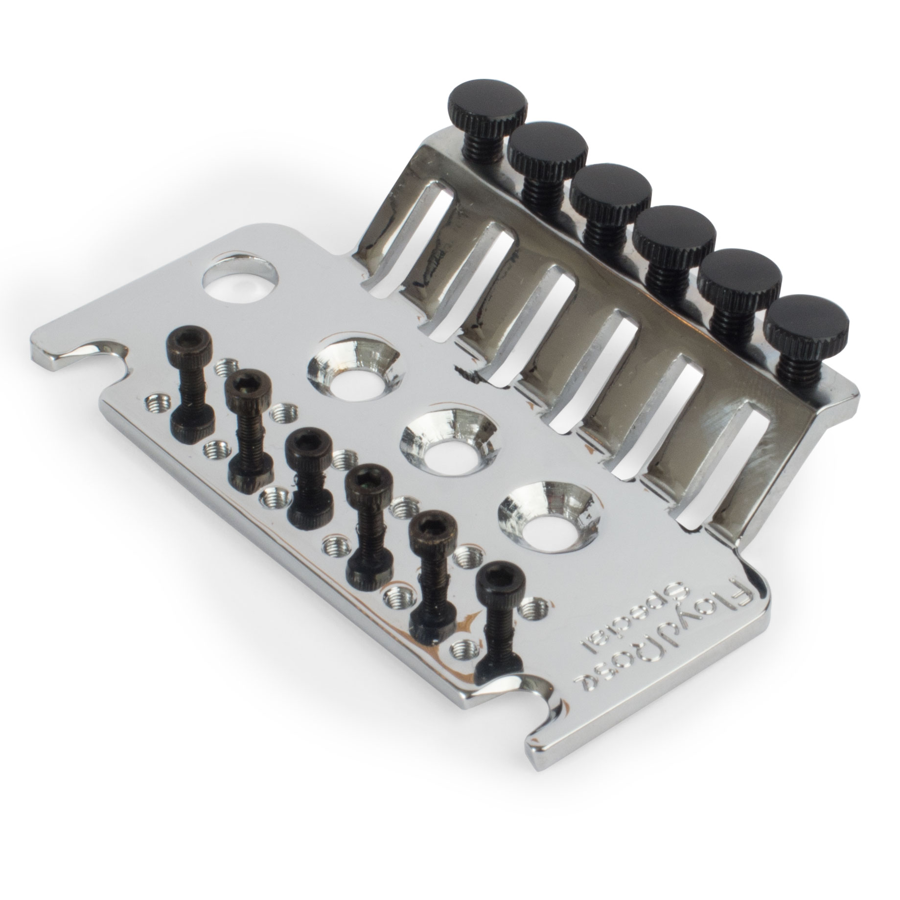 Grundplatte der Serie Floyd Rose Special mit Schrauben
