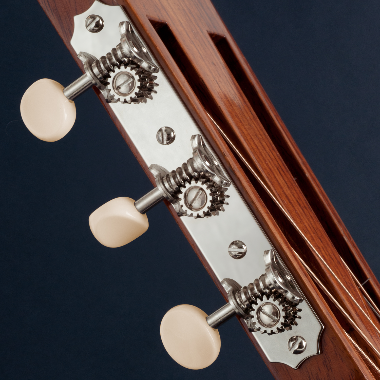 Golden Age Restauration Tuner für die geschlitzte Peghead Guitar – Scallop-end Golden Age Restauration Tuner für die geschlitzte Peghead Guitar – Scallop-end