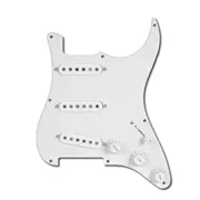 Golden Age vorverdrahtete Pickguards, weiß