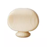 Banjo Stimmmechanik-Knöpfe, Elfenbein-Gallith