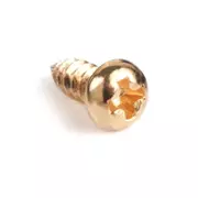 Schrauben für Stimmmechanik für geschlitzt Zapfenköpfe, Phillips, Gold