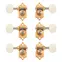 Waverly Gitarren-Tuner mit Ivoroid-Knöpfen für massive Zapfenköpfe, Gold, 3L/3R Waverly Gitarren-Tuner mit Ivoroid-Knöpfen für massive Zapfenköpfe, Gold, 3L/3R