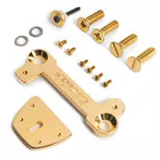 Vibramate V7-LP Adapter für Bigsby B7, Gold