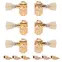 Kluson 3+3 Locking Revolution Serie G-Mount Tuner, Gold Kluson 3+3 Locking Revolution Serie G-Mount Tuner, Gold