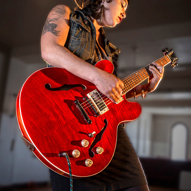 Elektrischer Halb-Hollowbody-Gitarrensatz