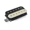 StewMac Humbucker-Aufnahmen, Halsposition, von Zebra freigelegte Spulen StewMac Humbucker-Aufnahmen, Halsposition, von Zebra freigelegte Spulen