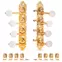 Grover F-Style 409 Mandolin-Abstimmmaschinen, Schnecke unter Stringpfosten, Gold, 4L/4R Grover F-Style 409 Mandolin-Abstimmmaschinen, Schnecke unter Stringpfosten, Gold, 4L/4R