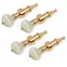 Five-Star-Banjo-Tuning-Stifte, Vintage-Perlenknopf auf Gold, 4er-Set Five-Star-Banjo-Tuning-Stifte, Vintage-Perlenknopf auf Gold, 4er-Set