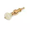 Individueller Five-Star-Banjo-Tuning-Stift, Cremeknopf auf Gold, Einzel-Tuner Individueller Five-Star-Banjo-Tuning-Stift, Cremeknopf auf Gold, Einzel-Tuner