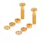 Kupplungs-Tailpiece-Verriegelungssystem, Gold – M8 x 1,25, Satz à 2 Kupplungs-Tailpiece-Verriegelungssystem, Gold – M8 x 1,25, Satz à 2