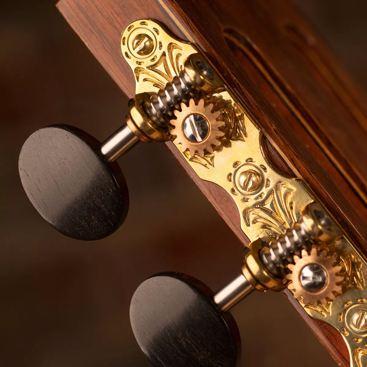 Klassische Sloane Gitarren-Tuner mit knalligen Knöpfen und Deko-Basisplatten Klassische Sloane Gitarren-Tuner mit knalligen Knöpfen und Deko-Basisplatten