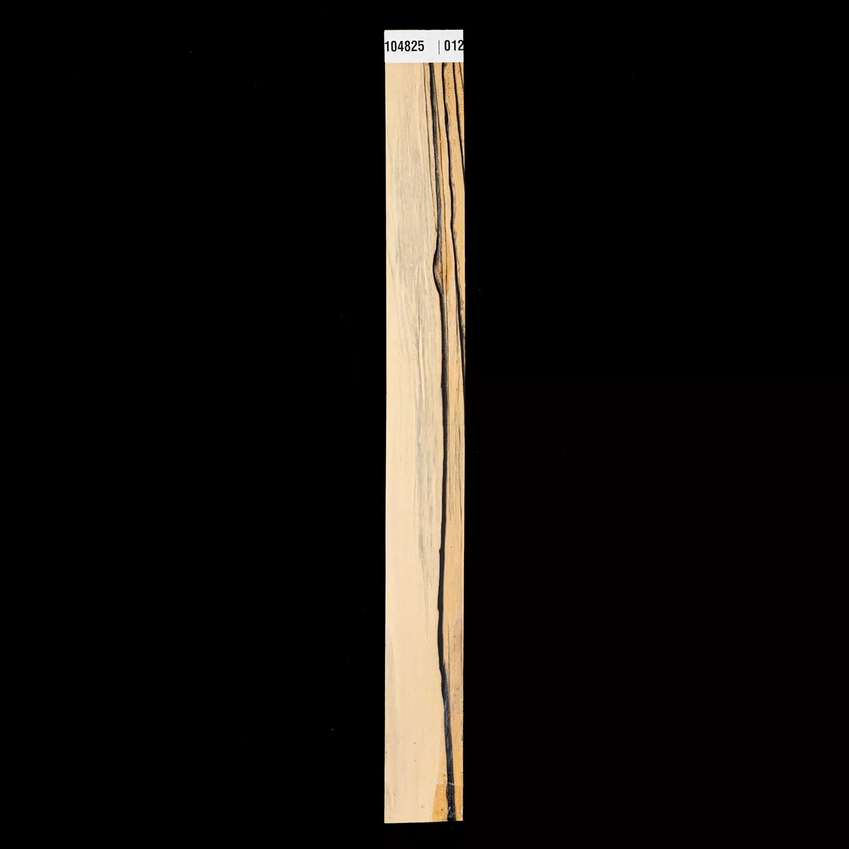 Halsrohling aus Pale-Moon-Ebenholz – 012 Halsrohling aus Pale-Moon-Ebenholz – 012