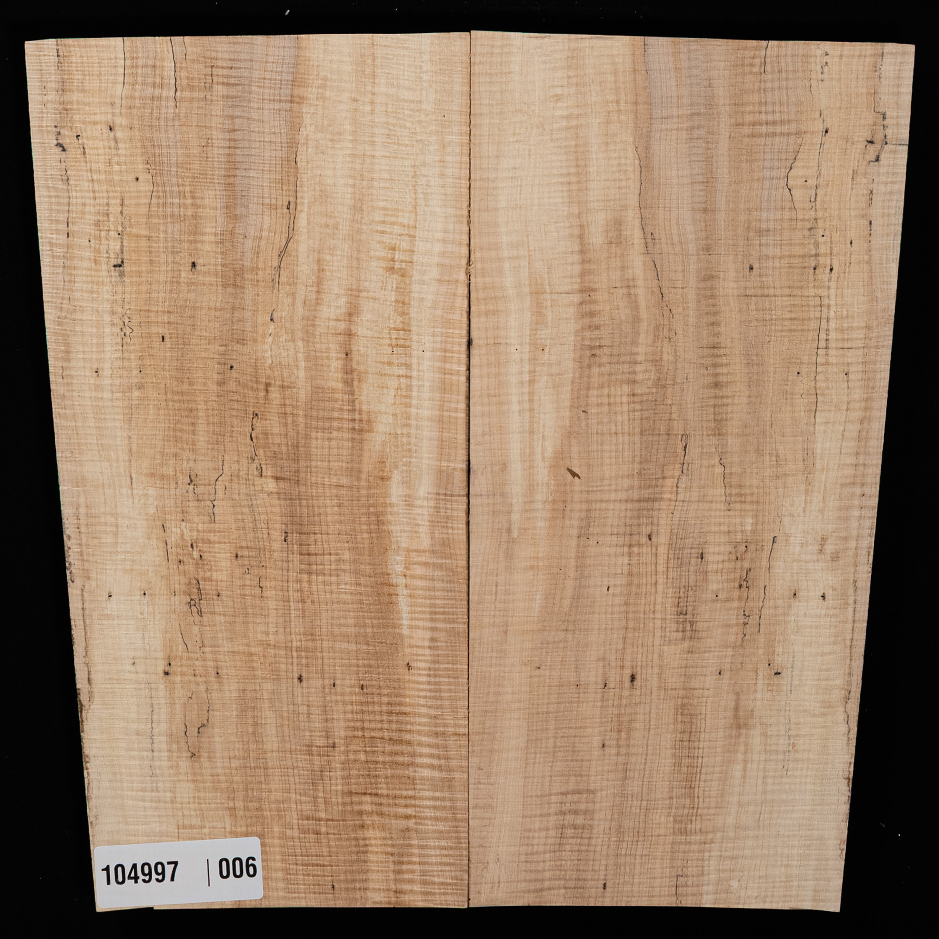 Spalted Curly Tochi Drop Top - 006