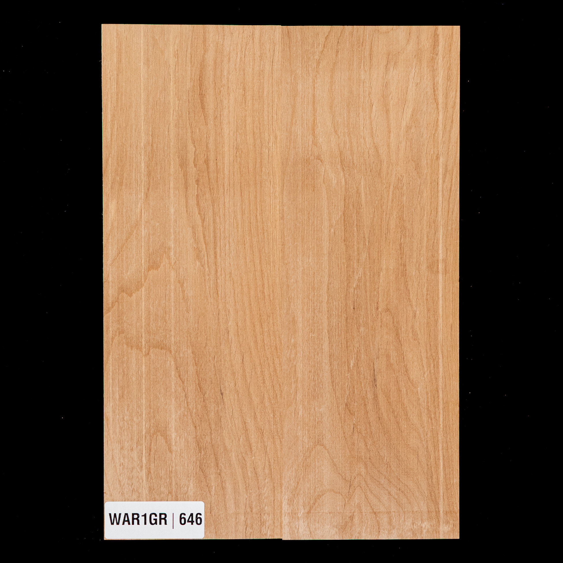 Alder Body Blank, 2-Piece (9.7 lb) - 646