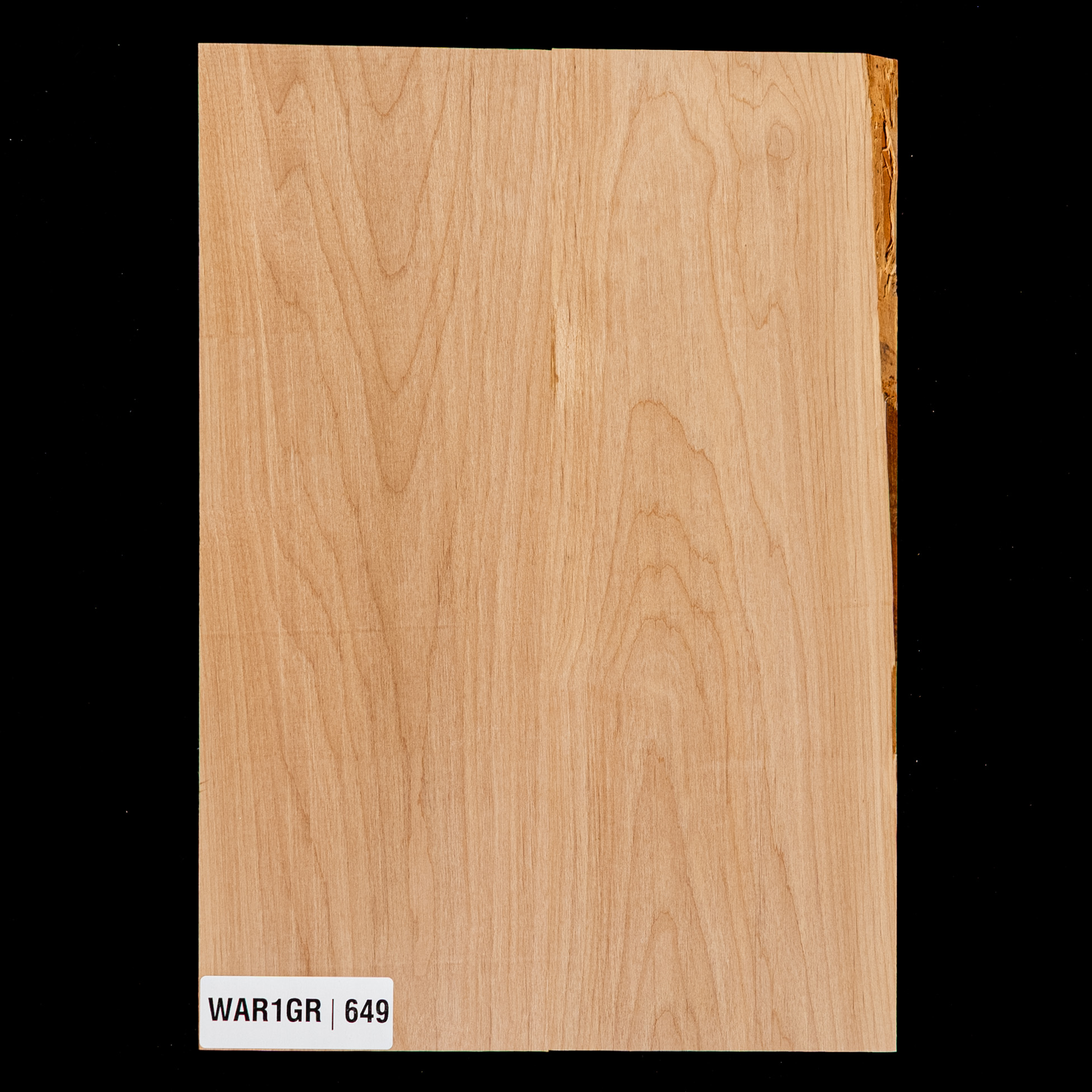 Alder Body Blank, 2-Piece (9.8 lb) - 649