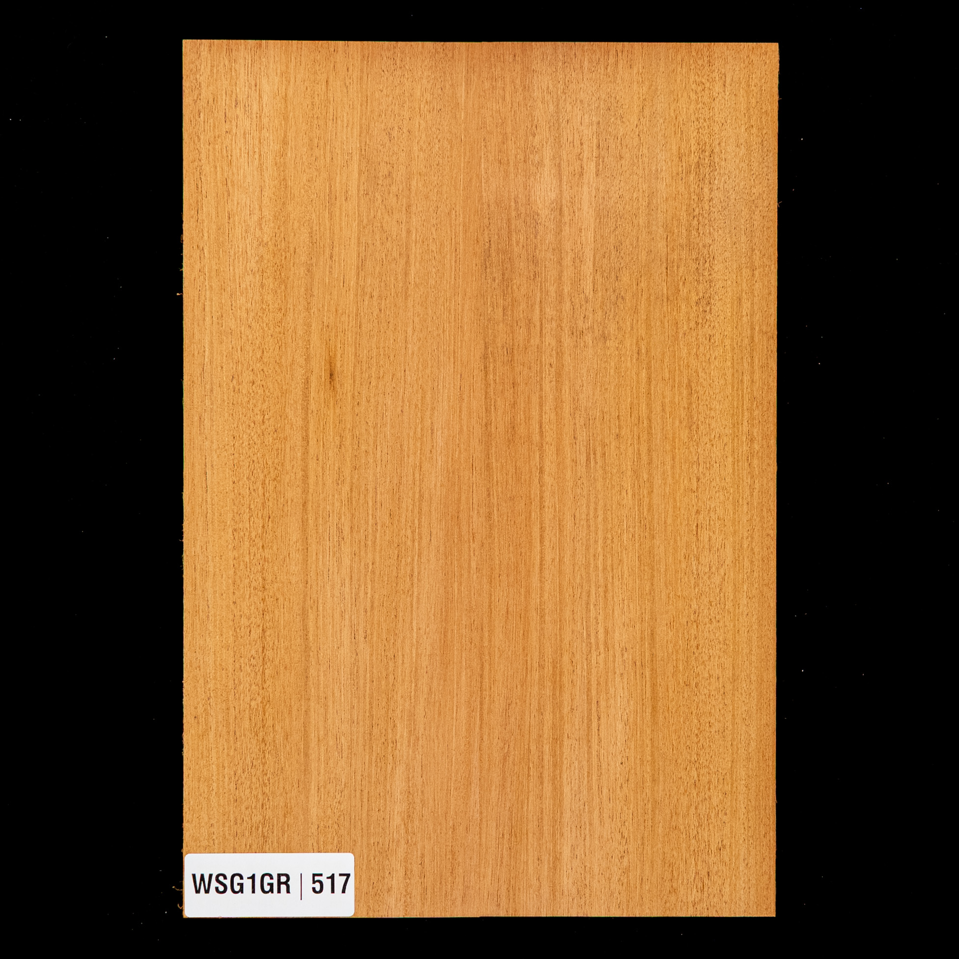 Honduran Mahogany Body Blank, 2-Piece (10.5 lb) - 517