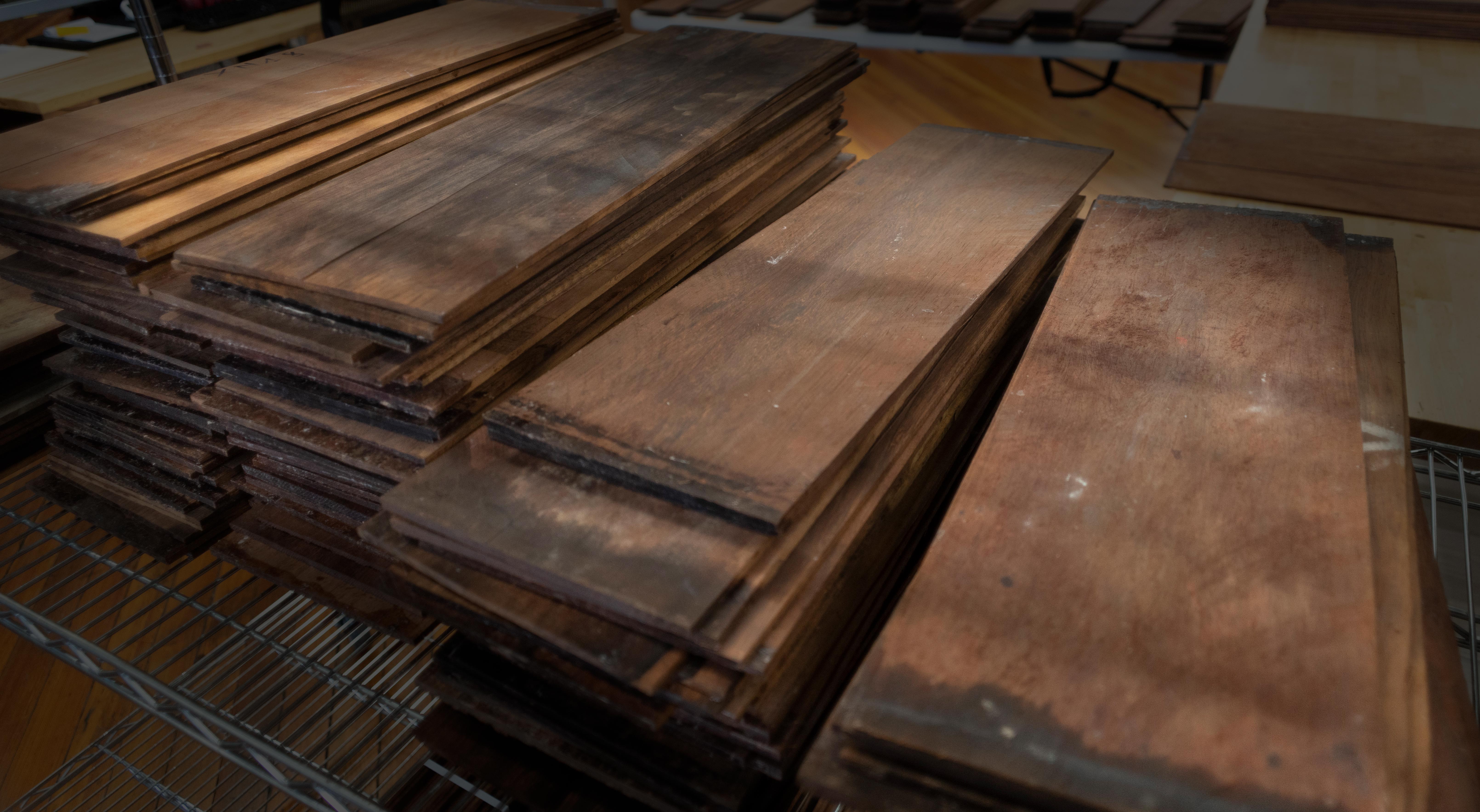 Madagaskar-Rasenholz Unser privates Reservat steht Ihnen jetzt offen