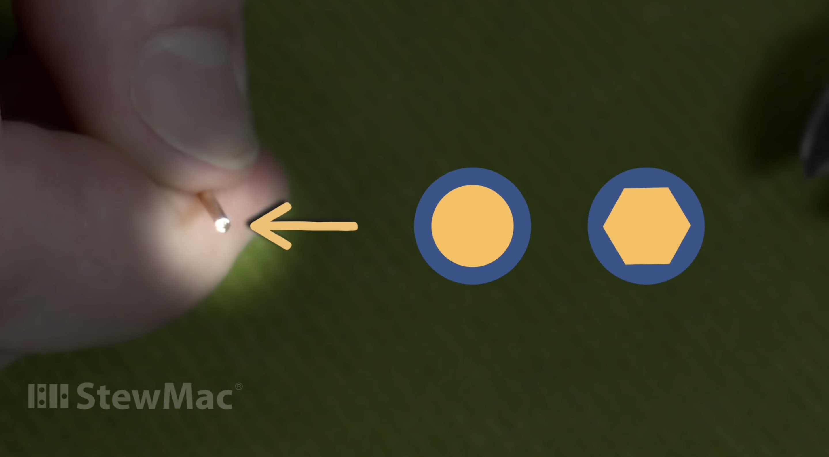 Die Form des Kerns des Basses oder der Wundstränge