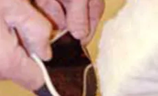 Polieren des Pickguards