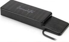 Benedetto Jazz Pickup