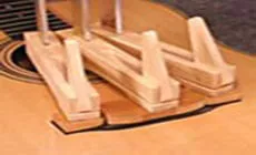 Bitte lesen Sie „Schwalbenschwanz einschließen“