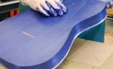 Färbung des Erlenteils des Körpers