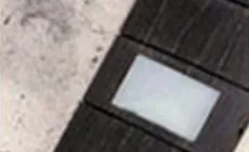 Ahorn-Fingerbrett nach