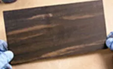 Leitschaufeln mit Zapfen