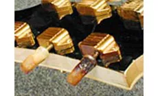 Verbrannter Steckkopf