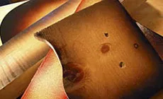 Testsprays auf Altholz