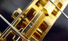 Foto: Wundstränge zeichnen