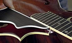 Position the pickguard