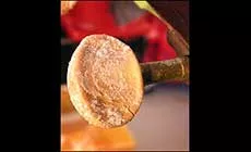 Beschädigte Tunerknöpfe austauschen