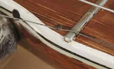 Foto: Spike statt Nuss