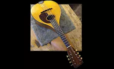 Fertige Tuner-Transplantation