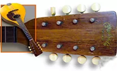 Ungewöhnliche Tuner-Transplantation