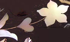 Einlage bereit zum Gravieren