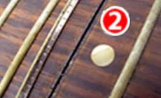 Halsentfernung Schritt 2